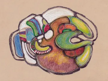 Почему люди делят мир на своих и чужих